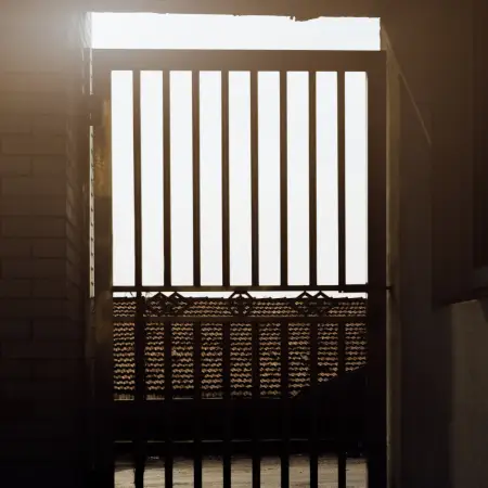 Servicios en Derecho Penal